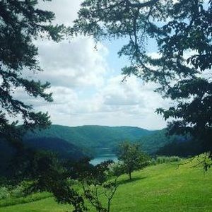 Meet your Posher, Amelia